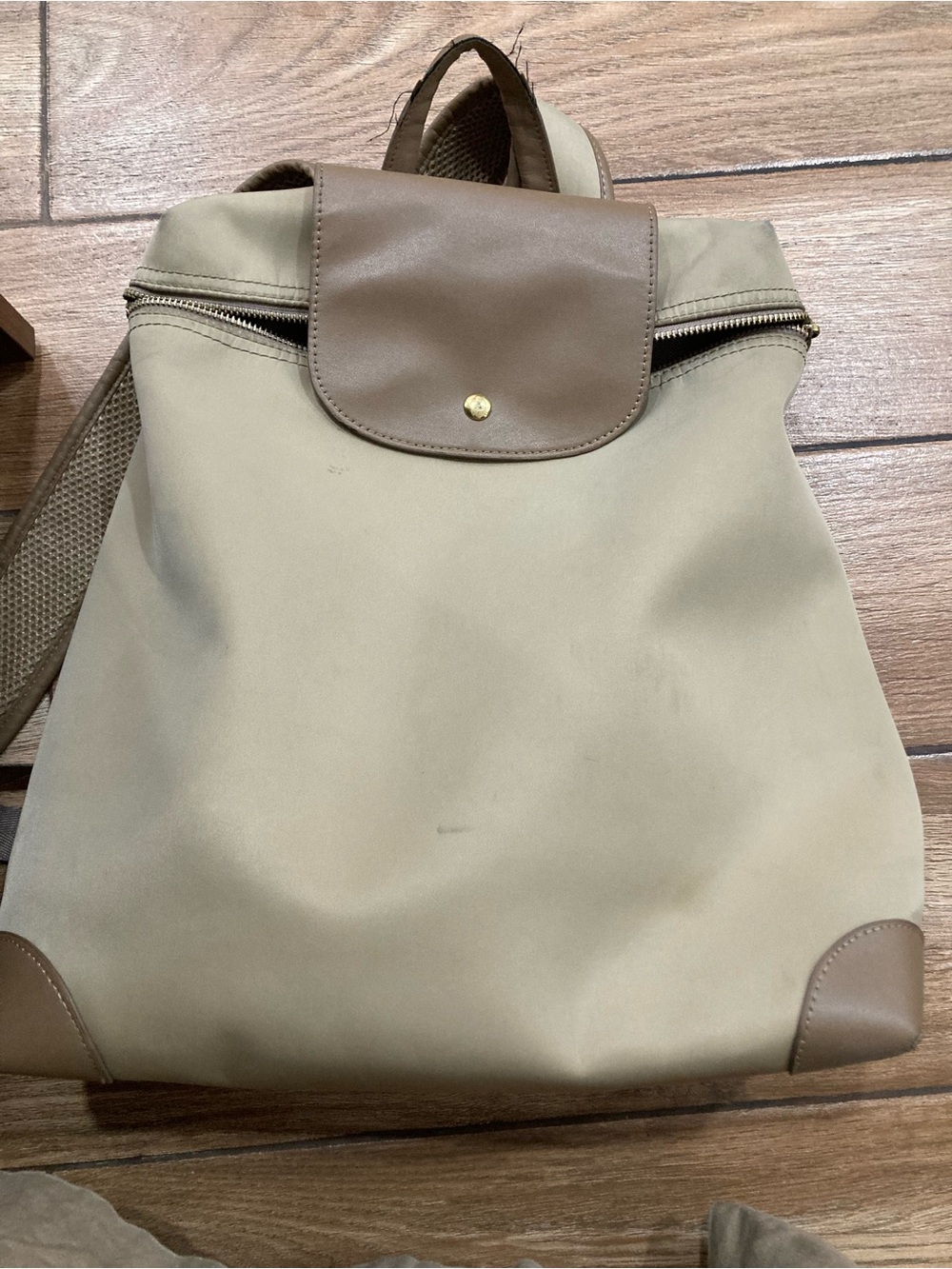 Women’s Taupe Nylon Backpack with Brown Trim
